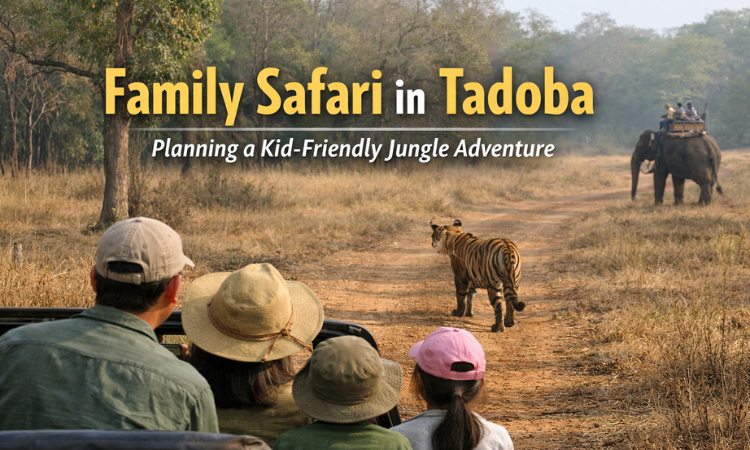 family safari in tadoba
