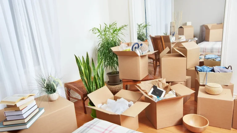 Local Moving Services in Brandon