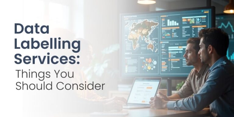 Data-Labelling-Services---Things-You-Should-Consider