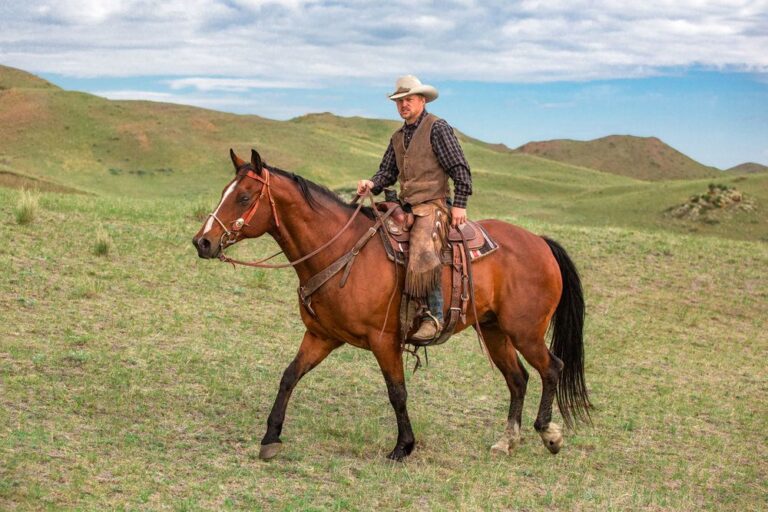 Finding Inner Strength Through Love and Horses