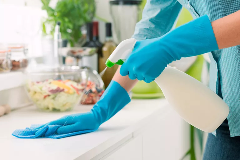 professional cleaning services